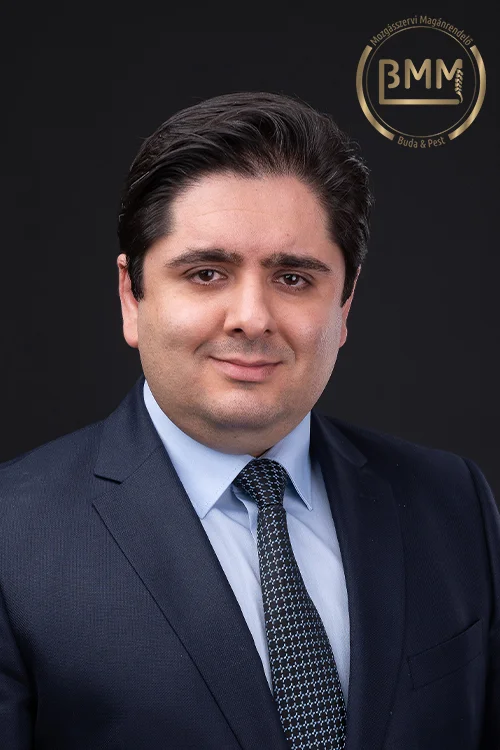 Dr Maysam Moghaddam Amin 